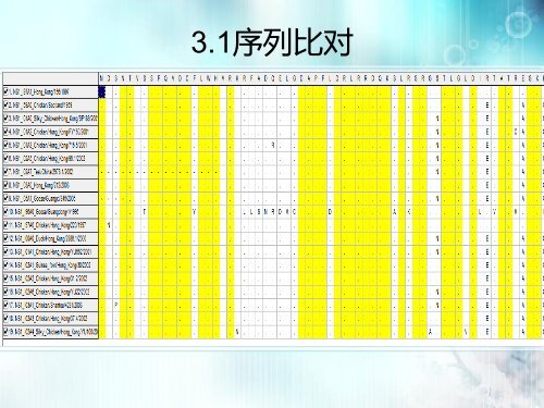 editseq多序列比对_序列比对网址_序列比对结果怎么看