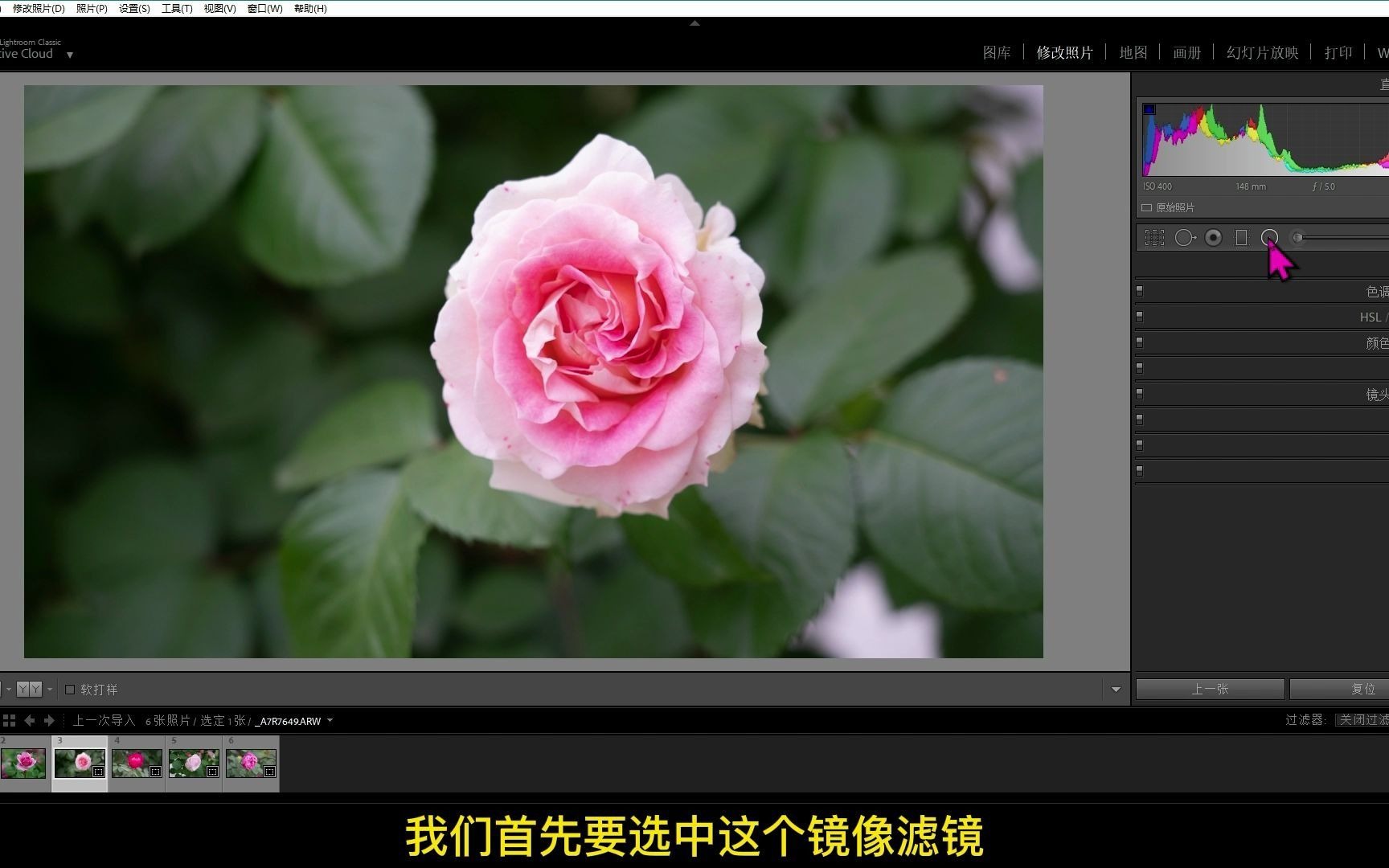 引擎视频素材_白鹭引擎 视频教程_视频引擎下载