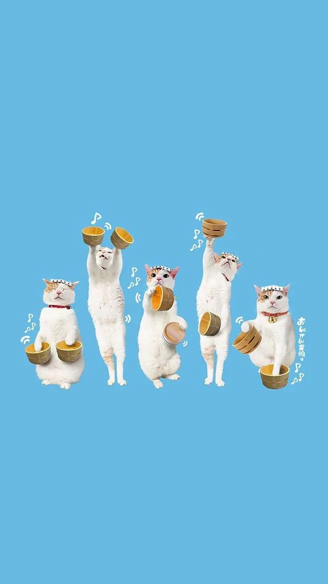 甜蜜猫猫动画_甜蜜动画猫猫表情包_甜蜜动画猫猫头像