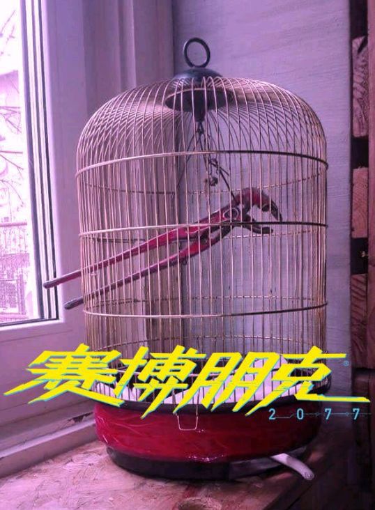 暴雪红色预警暴雪蓝色预警_暴雪红色预警是什么级别_暴雪红色警戒的条件是