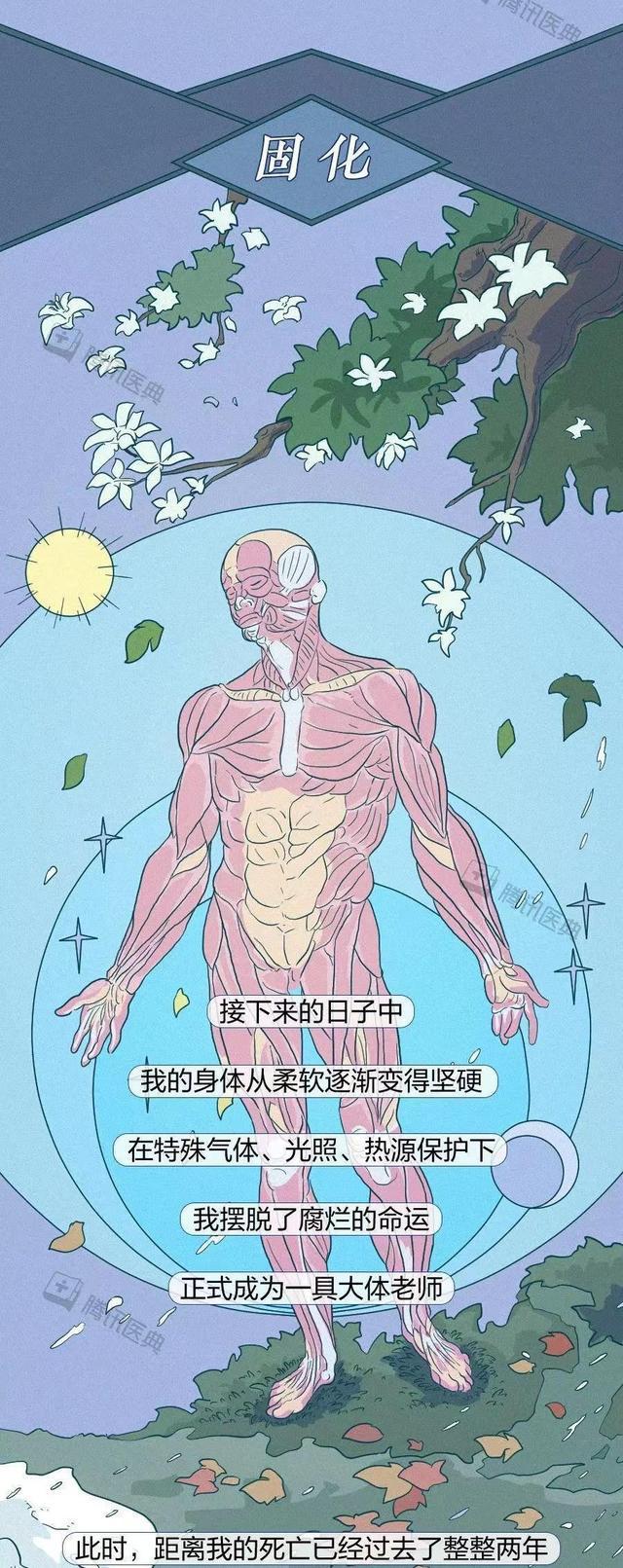 hp之穿成小h不是我自愿的_hp之穿成小h不是我自愿的_hp之穿成小h不是我自愿的