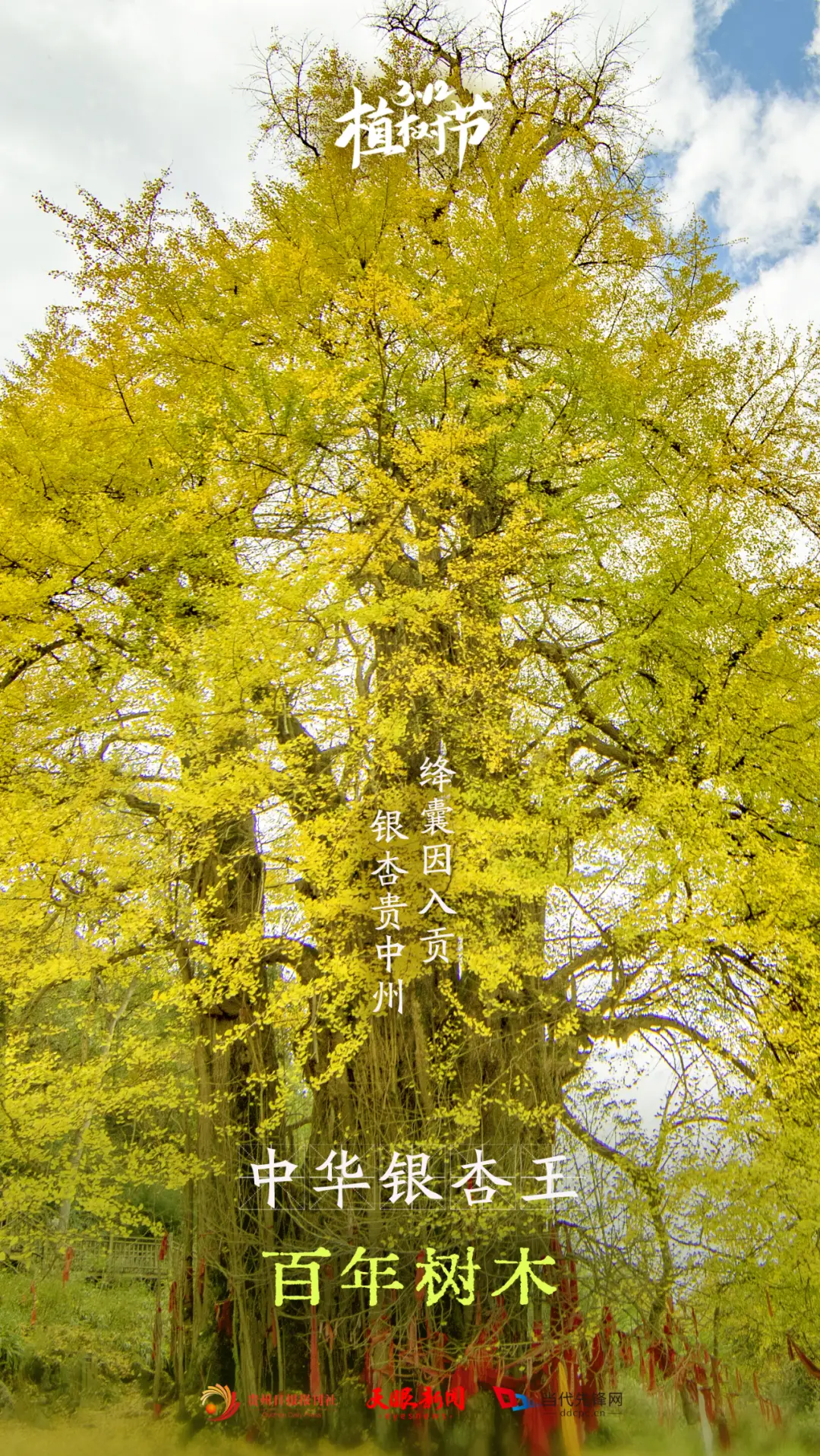 天空树吃饭要买票吗_如果你的存在为我存在歌词_树要存在在诞生的瞬间