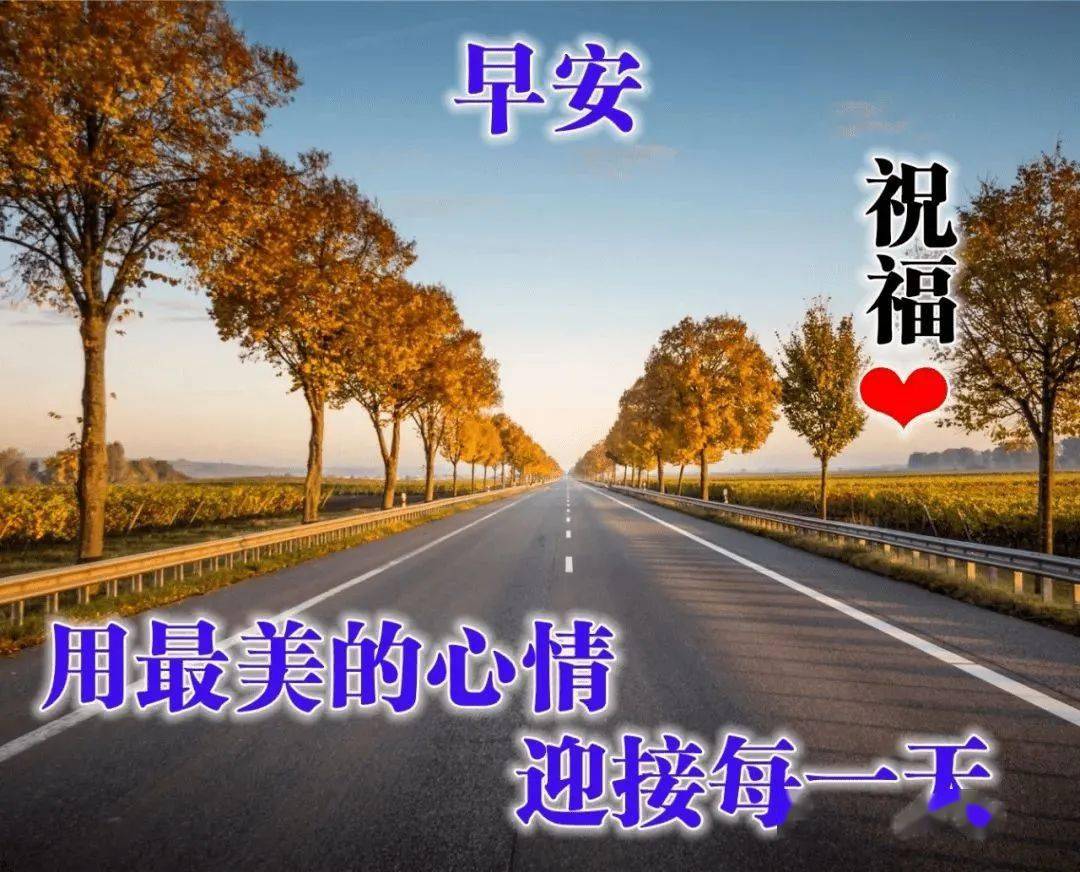 泰山动画2_隔壁泰山动画_泰山动画版