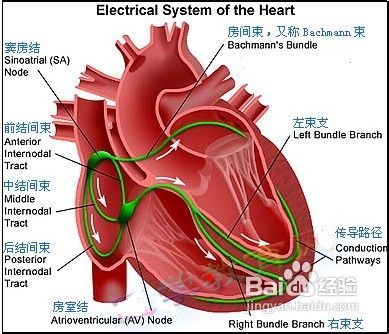 心电图q波改变原因_心电图电波改变_心电图波形改变