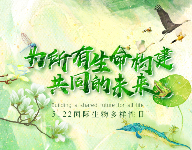 无敌特种兵闯三国系统_特种兵回三国小说_回到三国之无敌特种兵txt下载