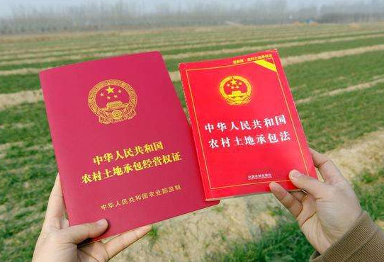 土地证上少了一块地怎么写申请_土地证上少了个人能加上吗_土地证上少一个人名怎么办