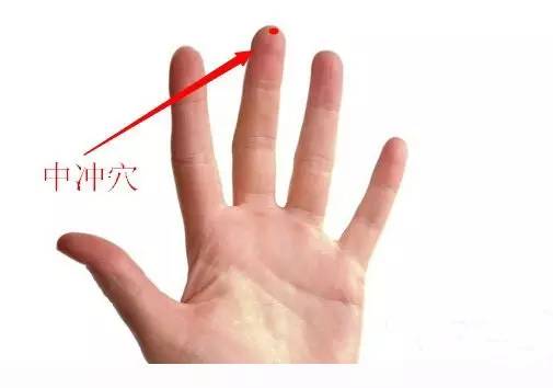 九龙虫每天什么时候吃好_九龙虫健康的人一天吃几个最佳_吃九龙虫的最佳时间是