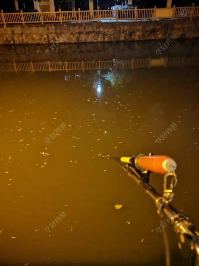 下雨前一天适合钓鱼吗?_钓鱼下雨一天适合前几天钓吗_是不是下雨前一天钓鱼都口不好