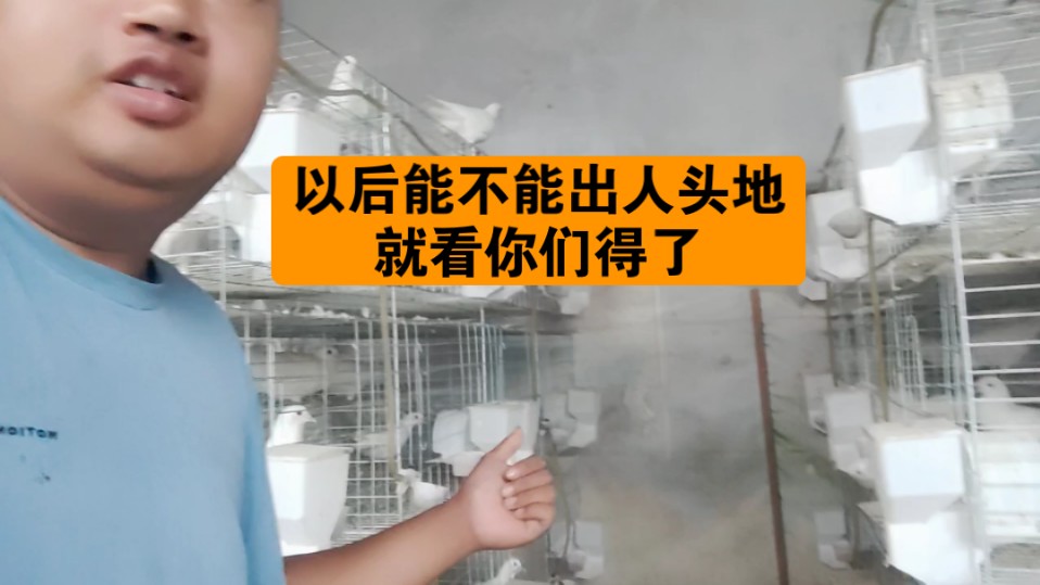 过目不忘的本领真的存在吗_谁有过目不忘的本领_过目不忘本领