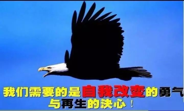 干部回炉重造_干部回炉再造_再造干部回炉怎么写
