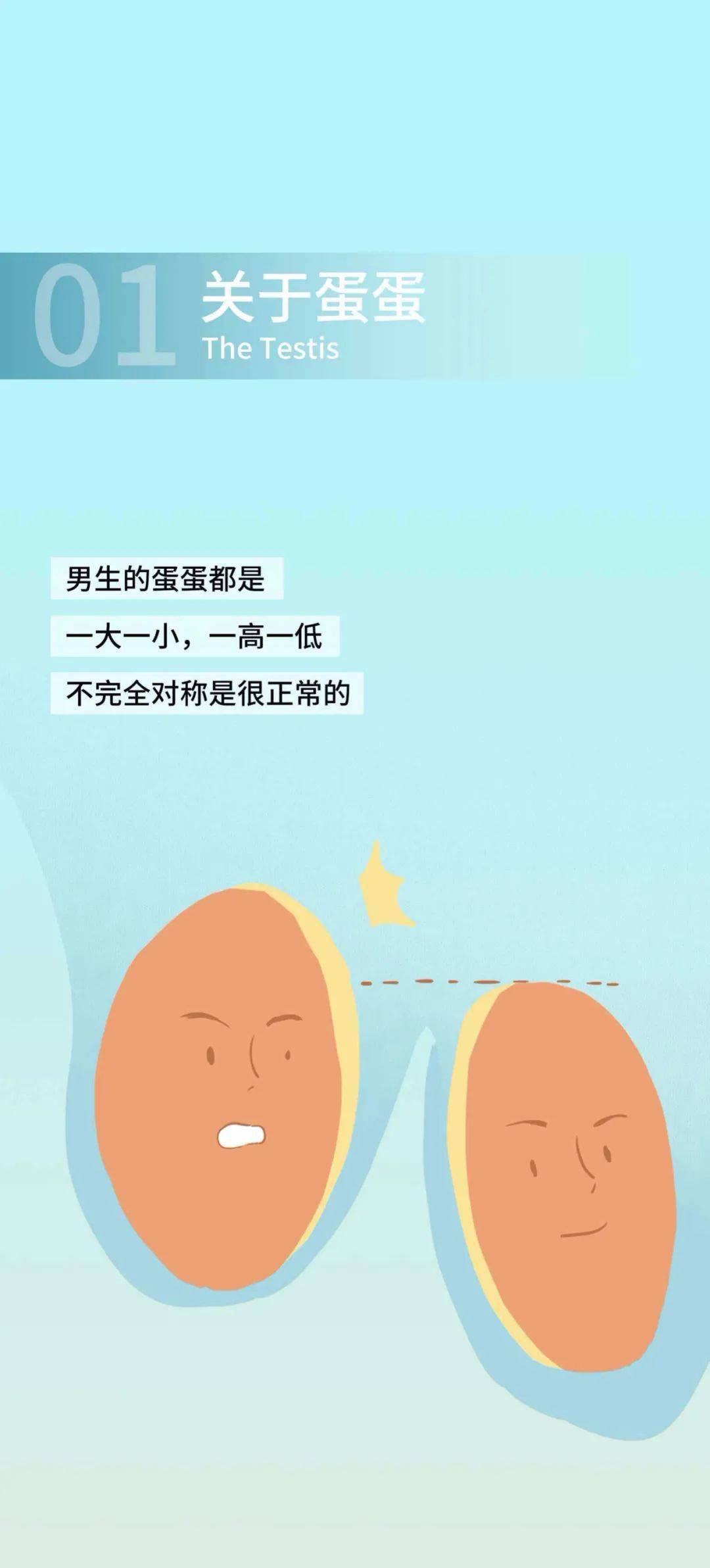 蛋蛋赚钱app_蛋蛋赚钱_蛋蛋赚真的可以提现么