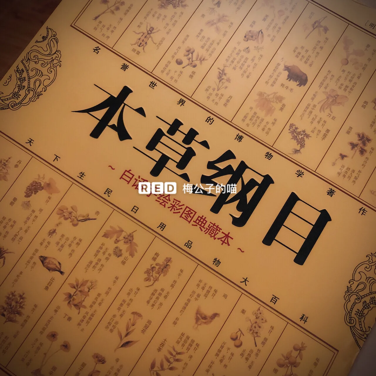 宿舍游戏名字大全搞笑_用宿取游戏名_宿取名字