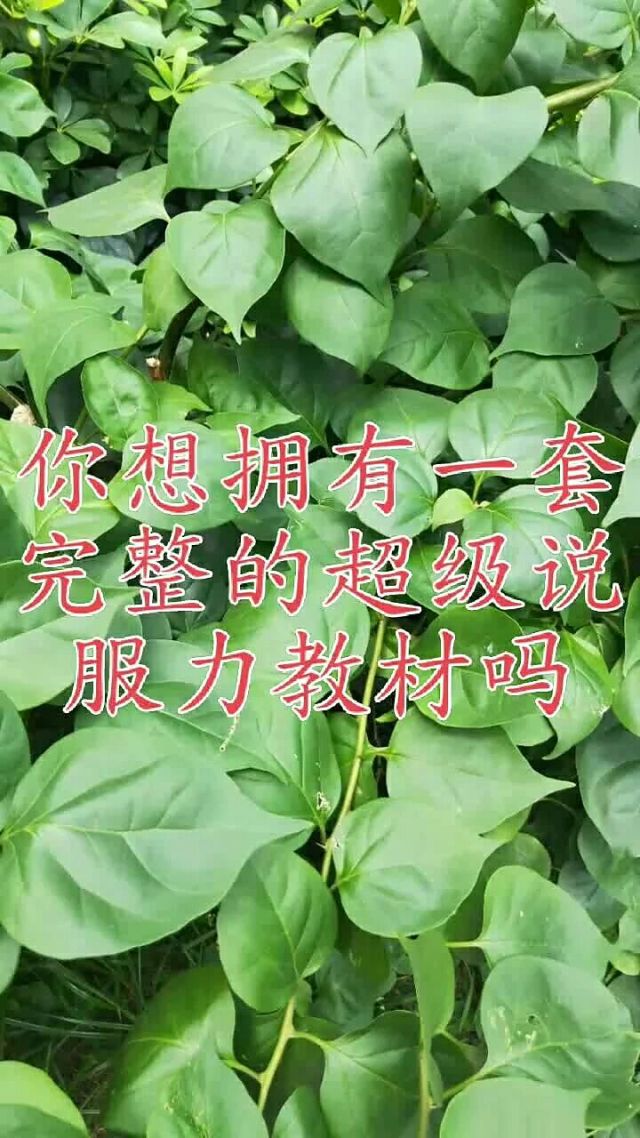 说服力11天打造超级口才_超级说服力听100遍_说服力视频