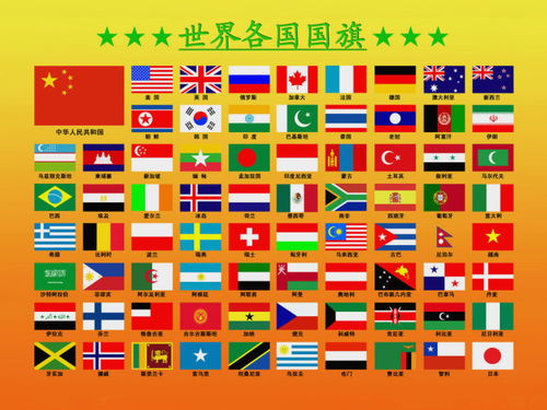 世界国旗游戏