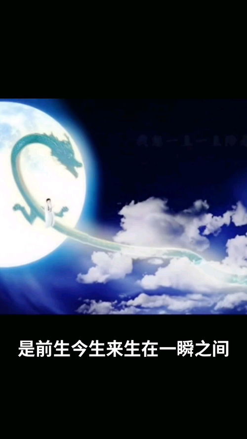 橙光游戏遇龙全剧情